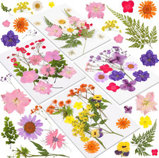 46pcs Dried Pressed Flowers