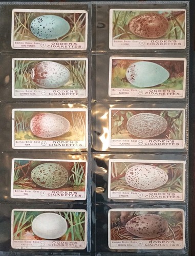 Ogdens birds eggs 1908 set - eggs,