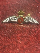 PPL Pilot wings lapel badge /tie pin 