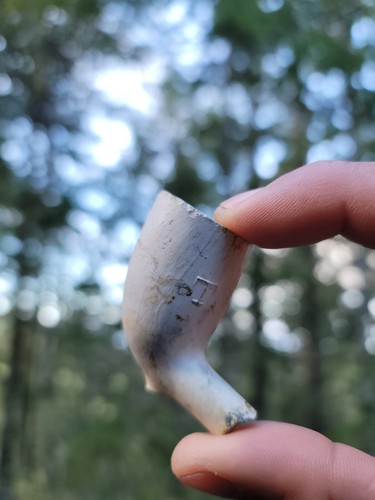 Old clay pipe dug concord - old,