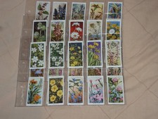 WILL'S - WILD FLOWERS, FULL