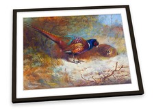 Archibald Thorburn Pheasants FRAMED ART PRINT Picture Poster Artwork