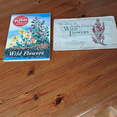 Typhoo wild flowers tea - wild,