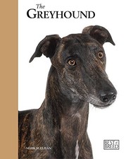 Greyhound - Best of Breed by