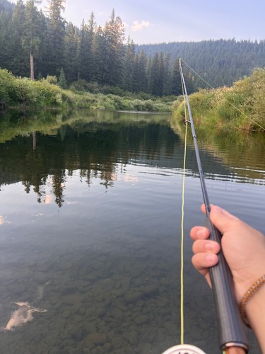 Fly rod 3wt - by, gary