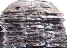 100 mix world coins - 100,