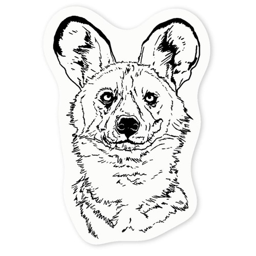 African wild dog clear - 'african, dog'