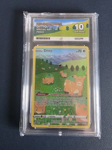The pokémon company ace - pokémon,