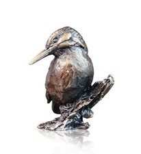 Bronze Kingfisher Water Bird -