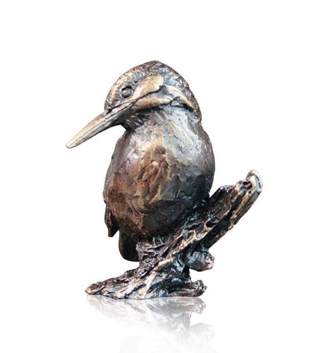 Bronze kingfisher water bird - water,
