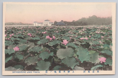 Vintage postcard japan tokyo - postcard,