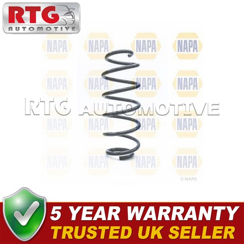 Front suspension coil spring - front,