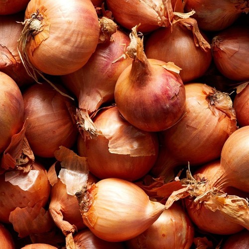 Round pickling shallots - round, medium