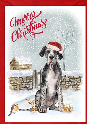 Great dane dog puppy - dane, x