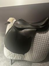 Kent and Masters 16' GP Pony