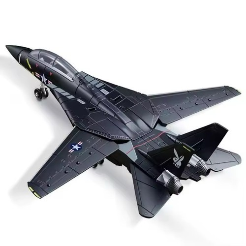 Tomcat fighter jet - tomcat,