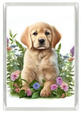 GOLDEN RETRIEVER CUTE PUP DOG