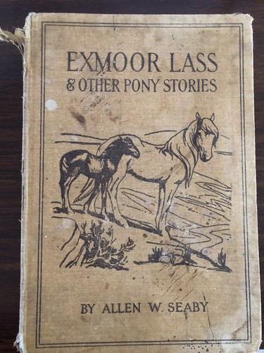 Exmoor lass and other pony - and,