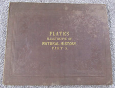 Natural History Illustrative Plates Part 3 1842 Josiah Wood Whymper