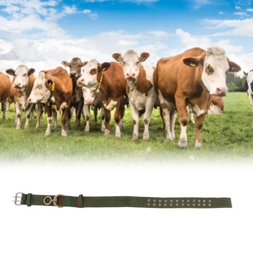 Goat neck strap - strap, cow