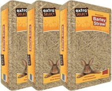 Extra Select Barley Straw Large 2kg x (Pack of 3)