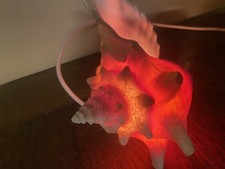 Vintage Large 9" Conch Sea