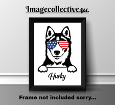 ALASKAN HUSKY  DOG PET A4