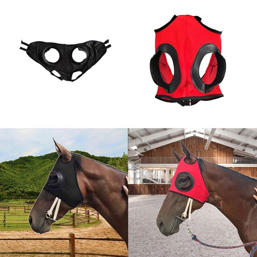 Horse riding glasses high - horse,