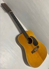 ARIA Vintage 12-String