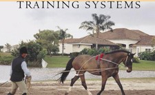 Pessoa lunging system - system, horse