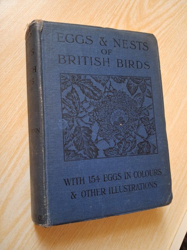 Eggs and nests - eggs,