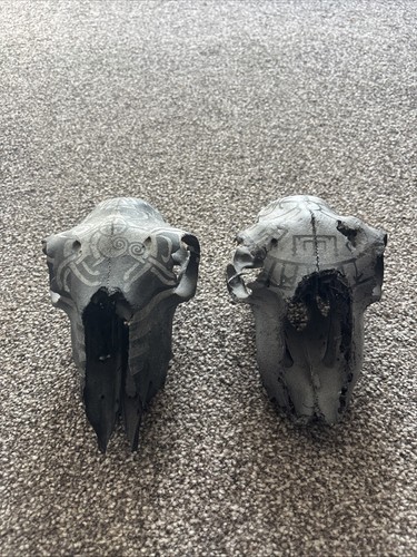 Set painted sheep skulls - set,