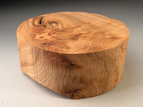 Burr elm wood - wood, bowl