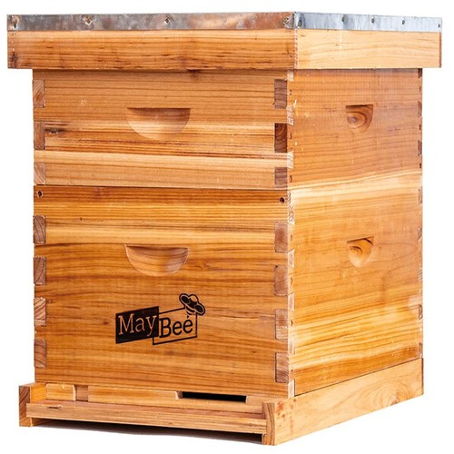 Frame beehive starter kit - 10,