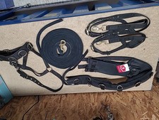 Lunging Joblot,Full Size