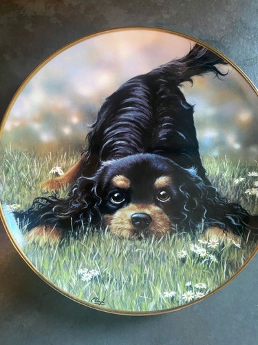 Danbury mint collectable plate - mint,