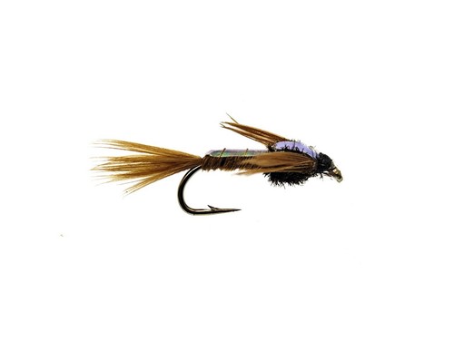 Flashback pheasant tail - 3,
