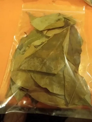Soursop leaves dried from - soursop,