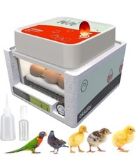 Incubator for Hatching 12 Eggs All Ages Automatic Egg Turning Humidity Control
