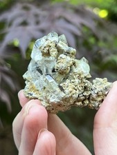 Brookite With Himalayan Quartz