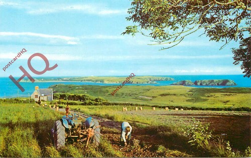 Picture postcard caldey - picture,