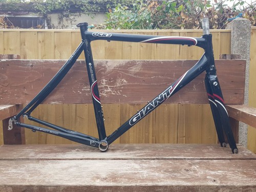 Giant ocr2 alloy carbon - giant, bike