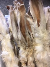 2kg Quality FURRY Rabbit Ears