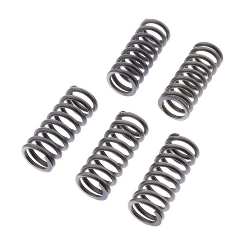 Clutch springs kit - springs, csk262