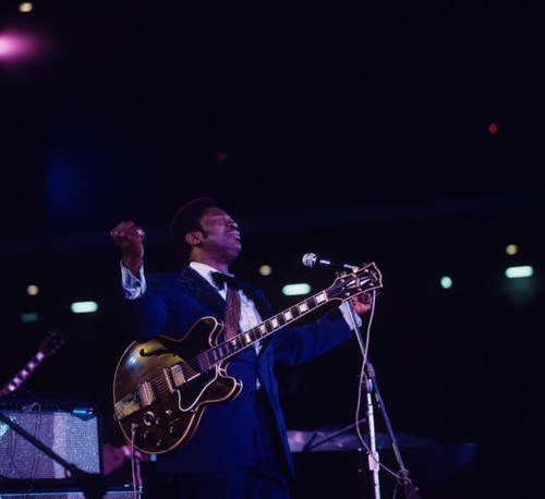 Guitarist king plays a - guitarist,