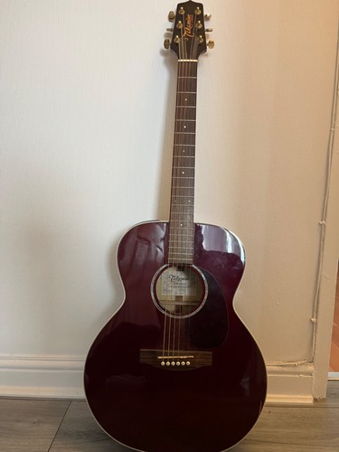 Takamine electro acoustic - takamine,
