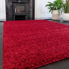 Thick Large Shaggy Rugs Non