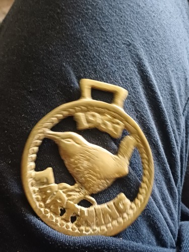Vintage horse brass - vintage,