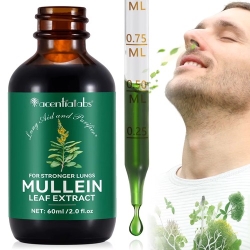 Mullein leaf extract for lungs - leaf,