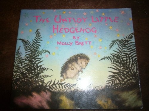The untidy little hedgehog - untidy,